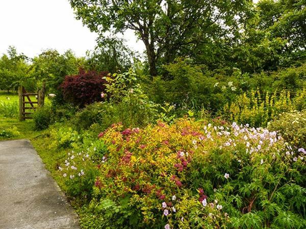 Hawthorn Farm Cottage Curry 外观 照片