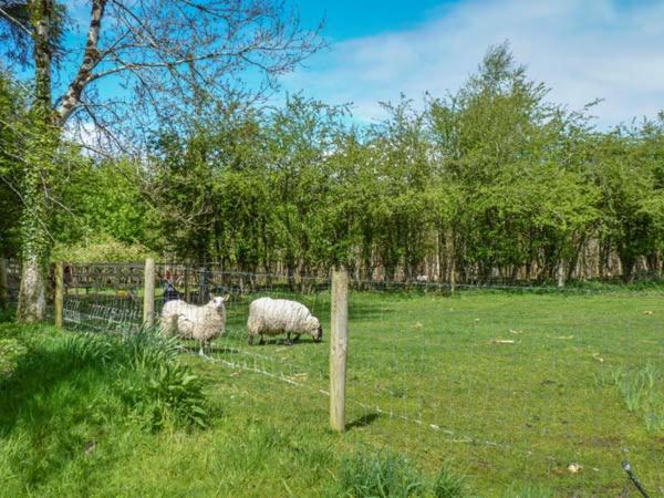 Hawthorn Farm Cottage Curry 外观 照片